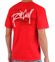 Rip Curl Men's Stay Fresh S/S T-Shirt
