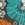 Volcom Women's Nothing Bud Love Vneck Bikini Bottom