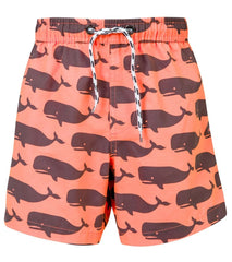 Snapper Rock Boys' Pool Board Shorts (Toddler, Little Kid, Big Kid)
