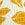 Rip Curl Women's Azalea Shirred Long Line Triangle Bikini Top