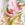 Tommy Bahama Women's Island Cays Flora Pareo