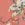 O'Neill Women's Johnny Floral Woven Pant