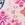 O'Neill Swimwear Cruz Tie Side Bikini Bottom