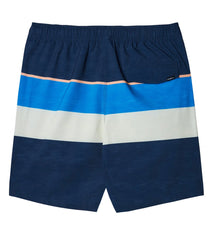 O'Neill Men's Hermosa Volley Swim Trunk
