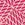 Snapper Rock Men's Nautical Knots Swim Trunks