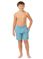 Rip Curl Boys' Daily Volley Swim Trunk (Big Kid)
