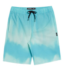 O'Neill Boys' Stockton Print E-Waist Swim Trunks (Big Kid)