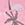 Snapper Rock Girls' Palm Paradise Sustainable Bucket Hat