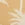 Rip Curl Women's Surf Palms Banded Cheeky Bikini Bottom