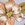 O'Neill Aloha Floral Knot Bikini Bottom