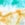 Rip Curl Women's Swc Full Coverage Bikini Bottom