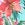 Penbrooke Women's Taste of Tropic Princess Seam Ruffle Tankini Top