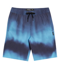 O'Neill Boys' Stockton Print E-Waist Swim Trunks (Big Kid)