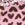Snapper Rock Girls' Wild Love One Shoulder One Piece Swimsuit (Toddler, Little Kid, Big Kid)