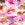 Shape Solver By Penbrooke Women's Border Floral Shirred Bandeau  One Piece Swimsuit