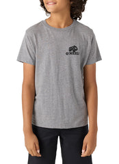 O'Neill Boys' Sandrunner Short Sleeve Tee (Big Kid)