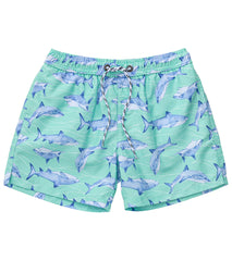 Snapper Rock Boys' Minty Shark Volley Board Short (Toddler, Little Kid, Big Kid)