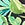 Roxanne Women's Chlorine Resistant Bra Sized Tropical Draped Sash One Piece Swimsuit (D/DD Cup)