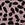 O'Neill Women's Steffi Dot Rockley Bikini Bottom