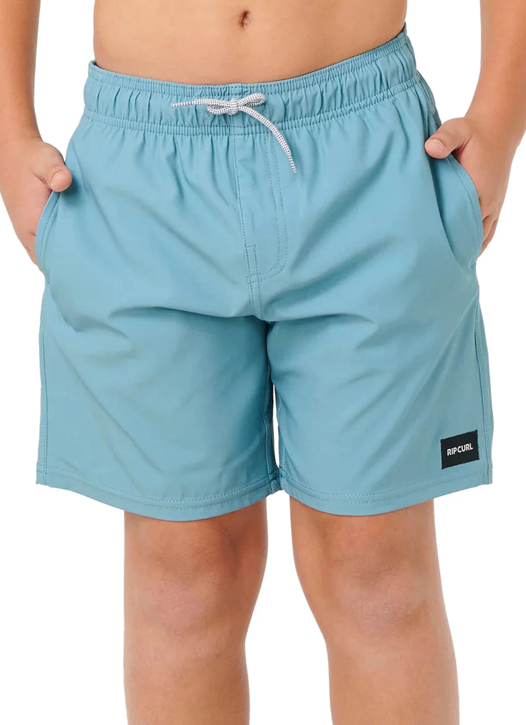 Rip Curl Boys' Daily Volley Swim Trunk (Big Kid)
