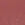 Rip Curl Surf Revival Line Up Tee