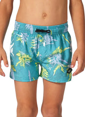 Rip Curl Boys' Mason Volley Shorts (Toddler, Little Kid)