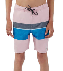 O'Neill Boys' Hermosa Block Ew Board Shorts (Big Kid)