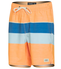 O'Neill Men's Hermosa Volley Swim Trunk